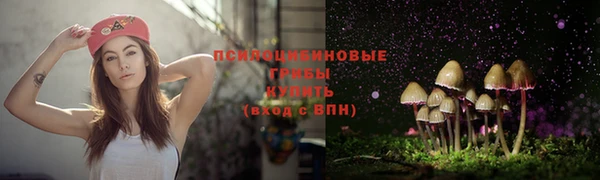 молекула духа Майский
