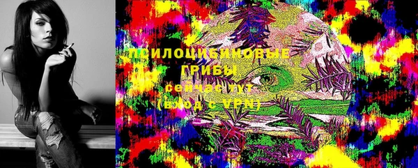 молекула духа Майский