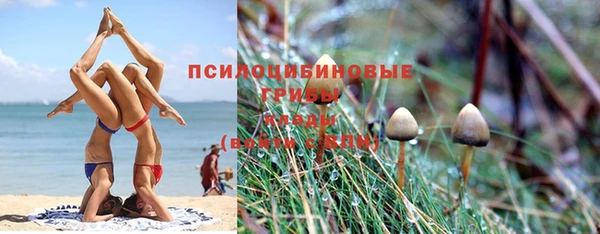 гашишное масло Магас