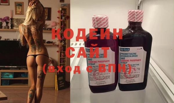 молекула духа Майский