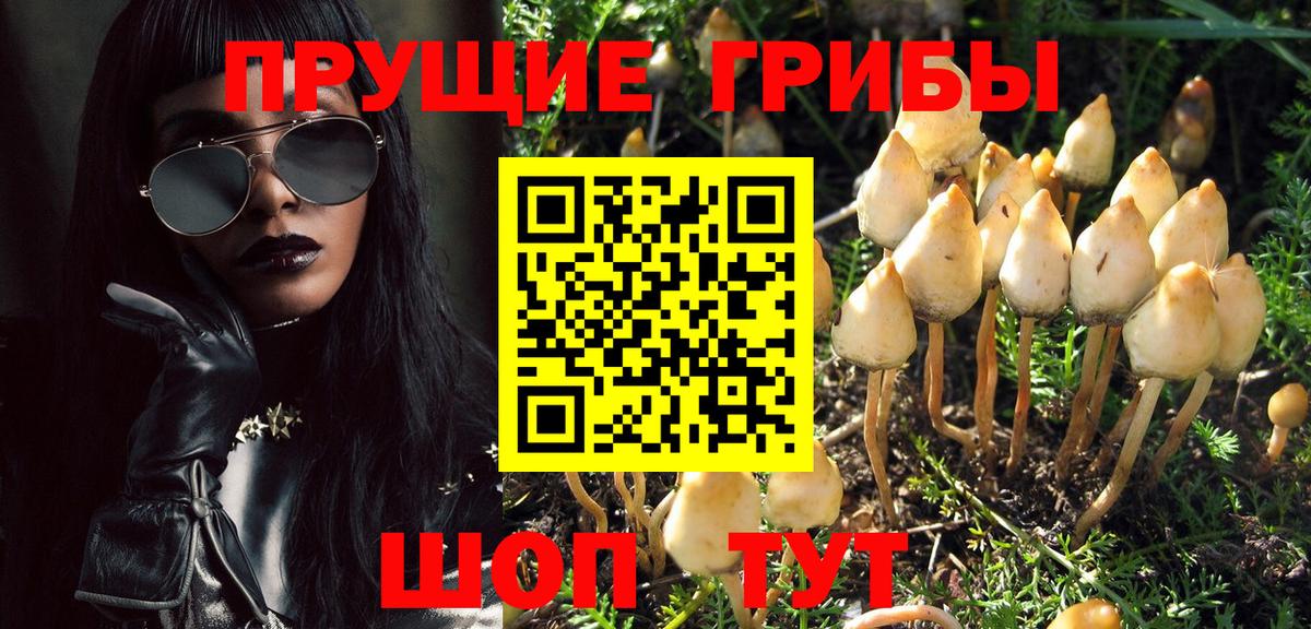 Галлюциногенные грибы Magic Shrooms Дзержинский