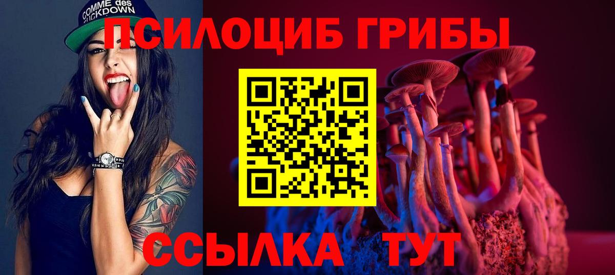 Галлюциногенные грибы Psilocybe Дзержинский