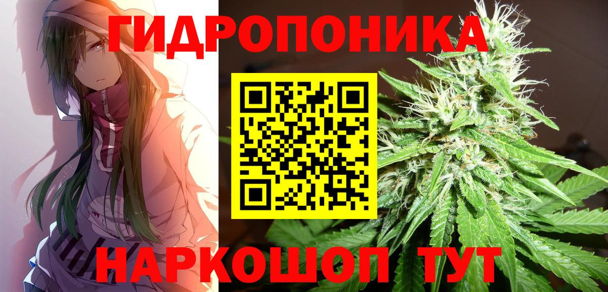 Конопля Bruce Banner  Дзержинский  Канабис планчик  Бошки марихуана OG Kush 